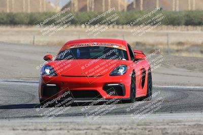 media/Oct-21-2023-Speed Ventures (Sat) [[ddf75163c5]]/Green/Grapvine/